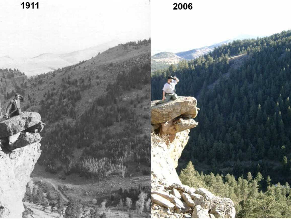 geer canyon in 1911 and 2006 showing the difference in tree density over 100 years without fire