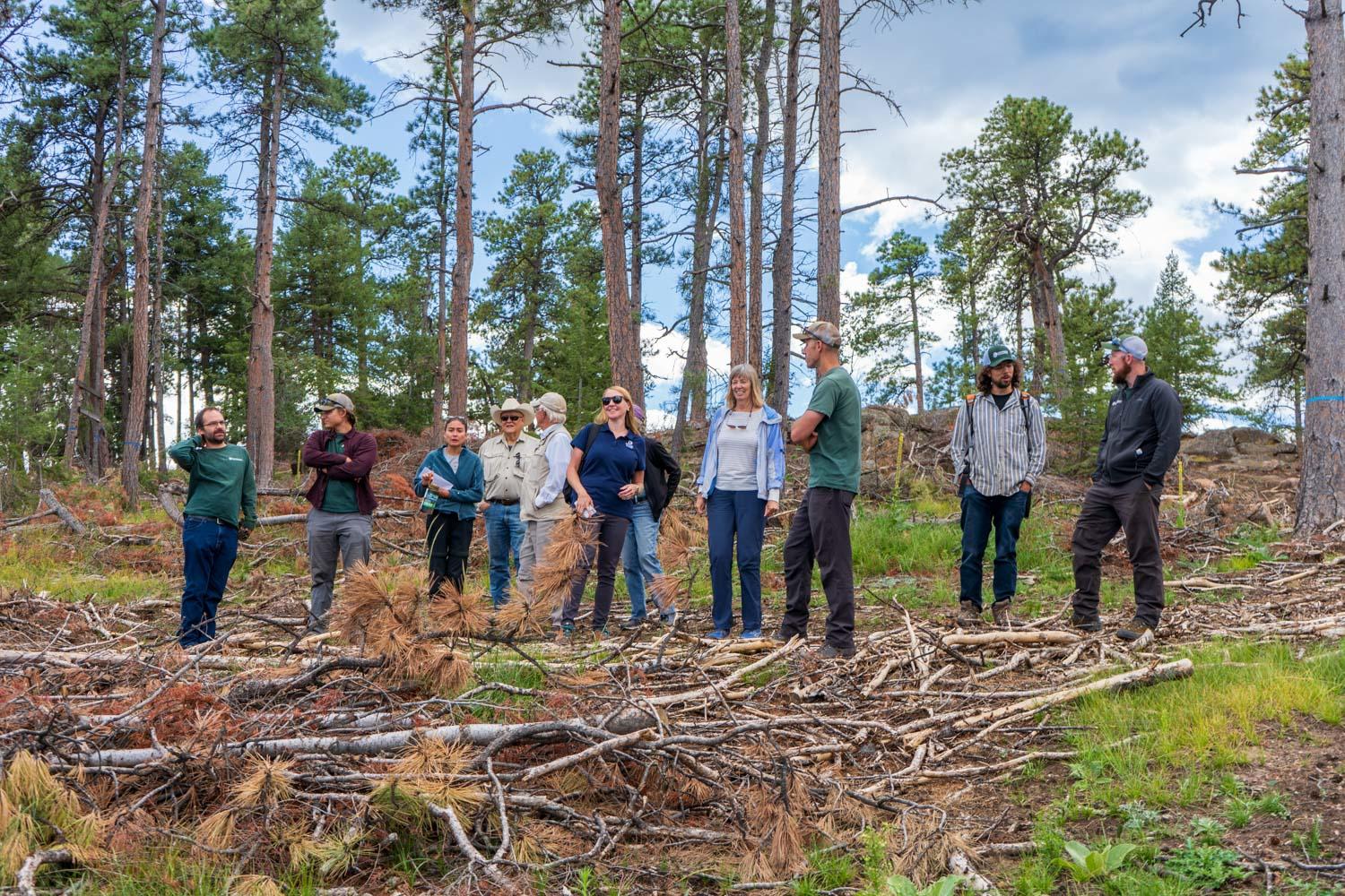 A group of people stand on masticated wood in a conifer forest