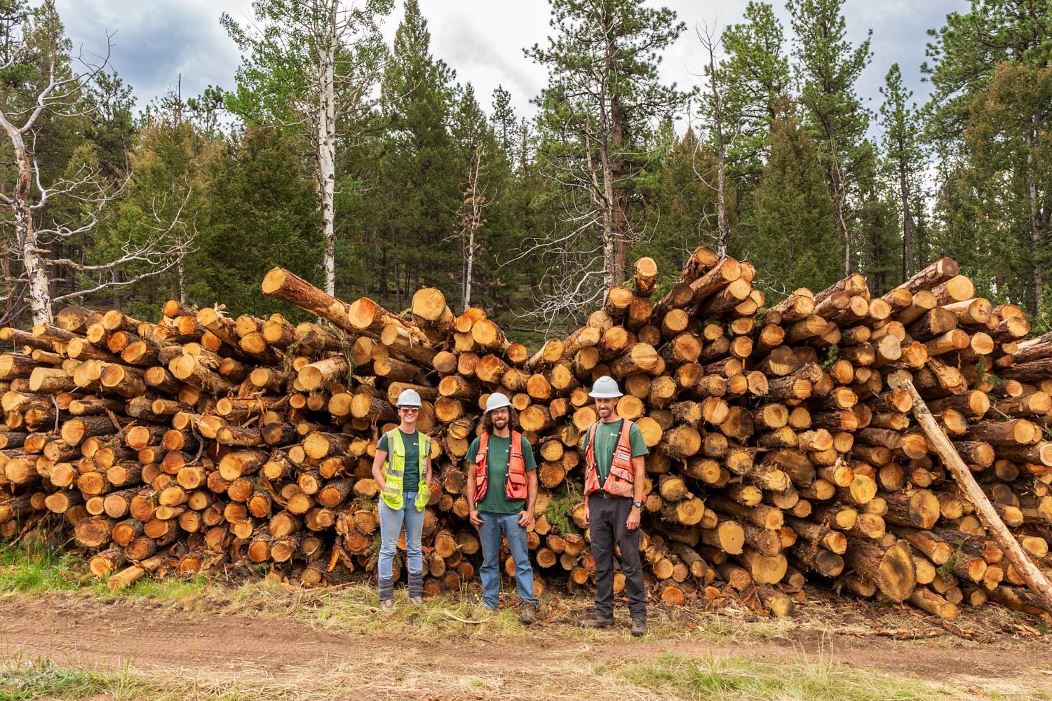 Three workers in hard hats and safety vests stand in front of a log deck