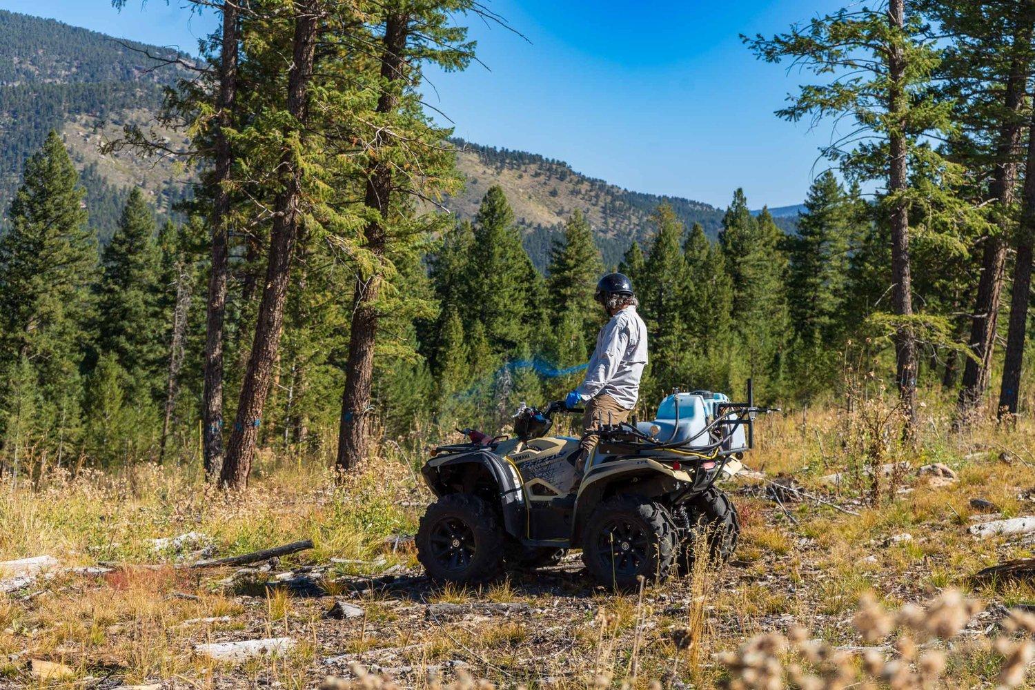 man standing on atv spraying blue herbicide on noxious weeds